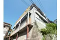 酒井文化
