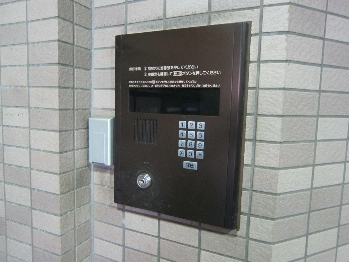 ダイナコート天神南II