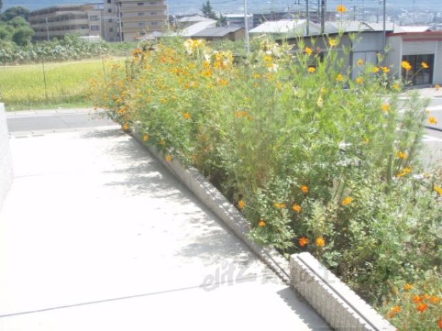 ディアス桃山東