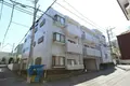 白子エメラルド