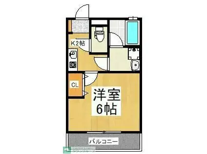 セレステ志木本町(1K/1階)の間取り写真