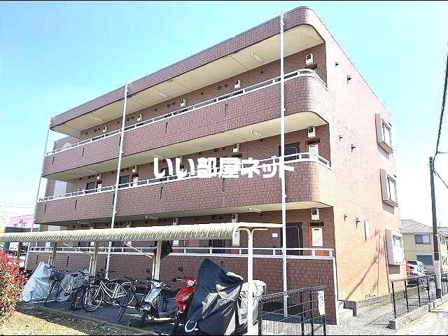 ブロメリア