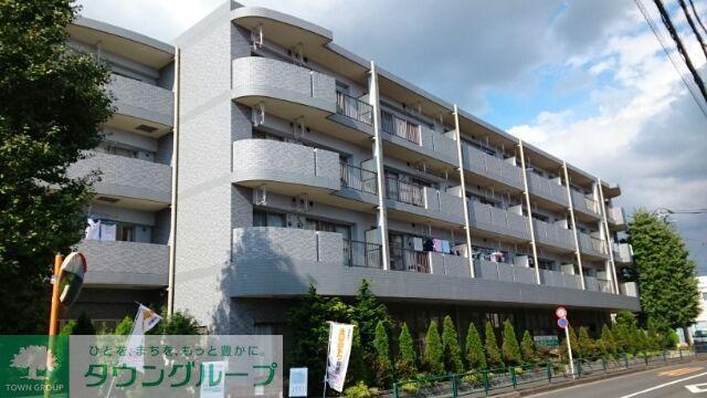 セレノプラシード