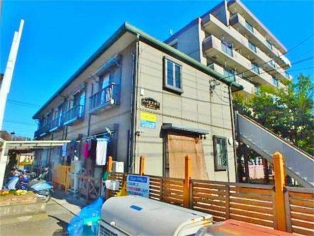 ハイビスカス