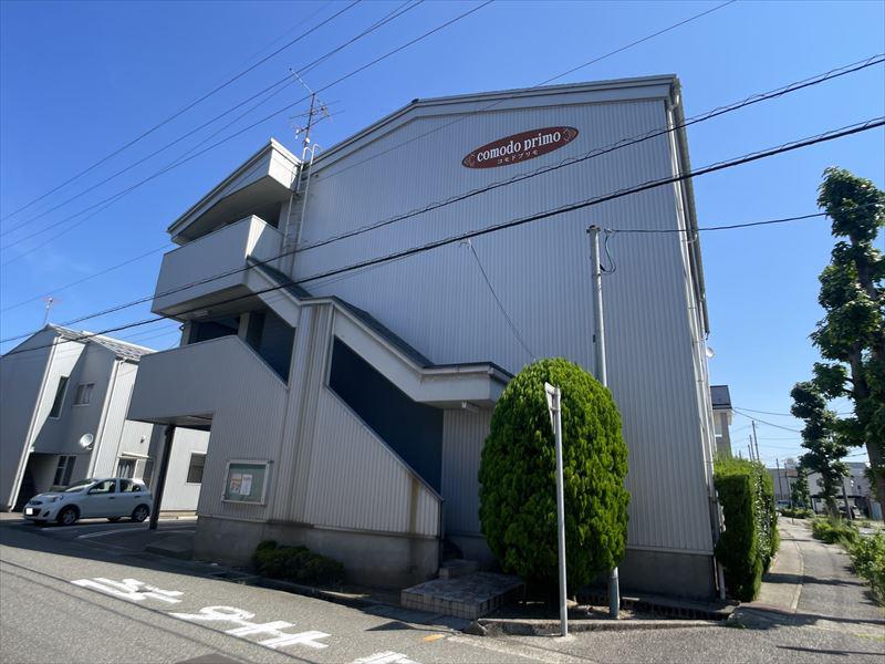 コモドプリモ