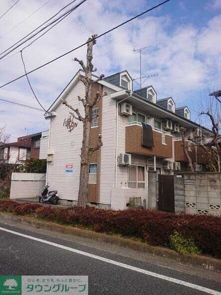 ハイムマンドリン