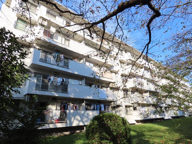 新座団地3-4-503