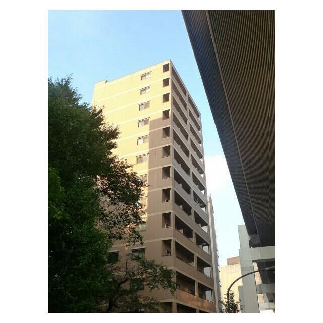 ソリッド大橋