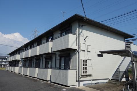 ワイジェイエム20II