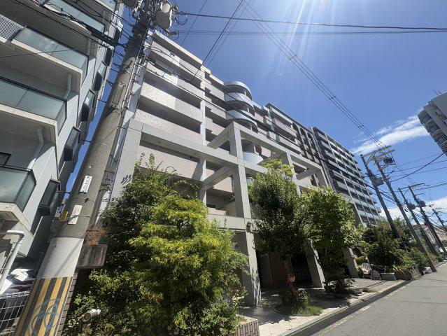 アラメダ 江坂