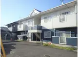 プラドール田代C