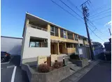 サイネリアI