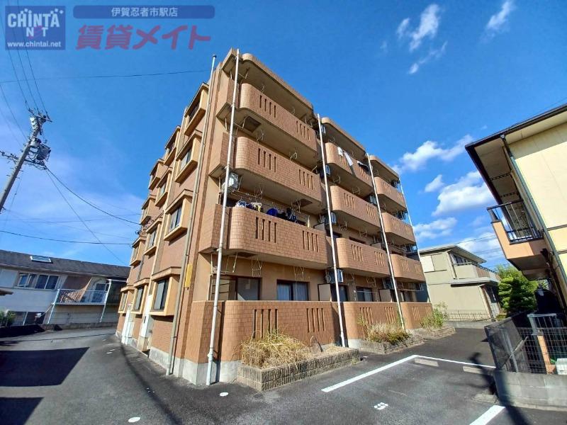 コスモスイン