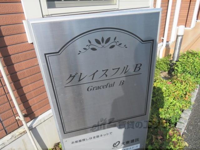 グレイスフルB