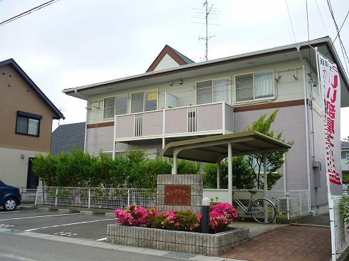 サンフラワーA