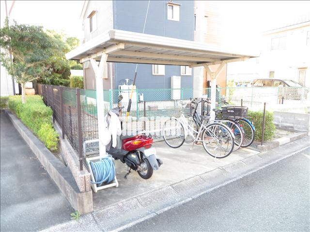 サザンウィング F