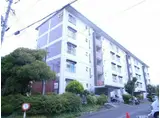 平塚高村団地 20号棟