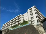 グリーンヒル藤が丘C II