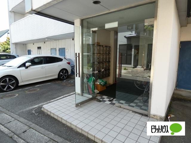 ピュア37