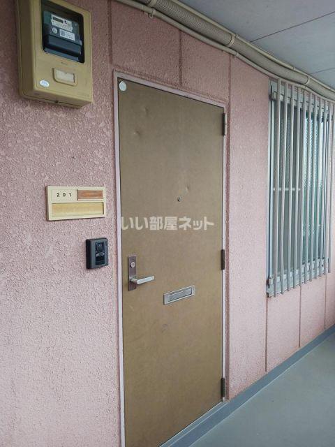 OASIS MAKINO