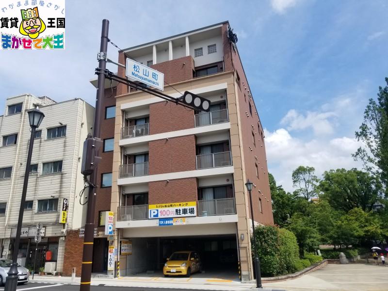 ルパルク松山町(1K/5階)