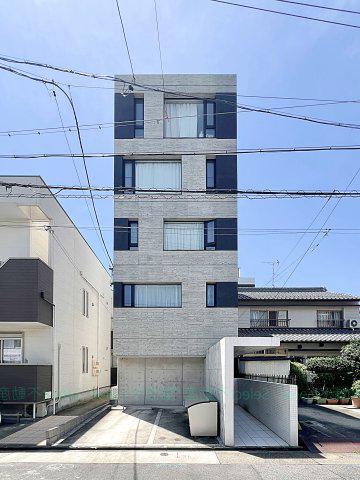 COZY菊井