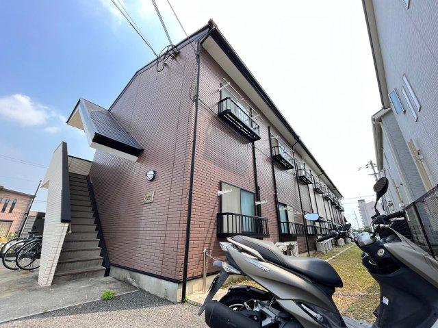アムールもみの木