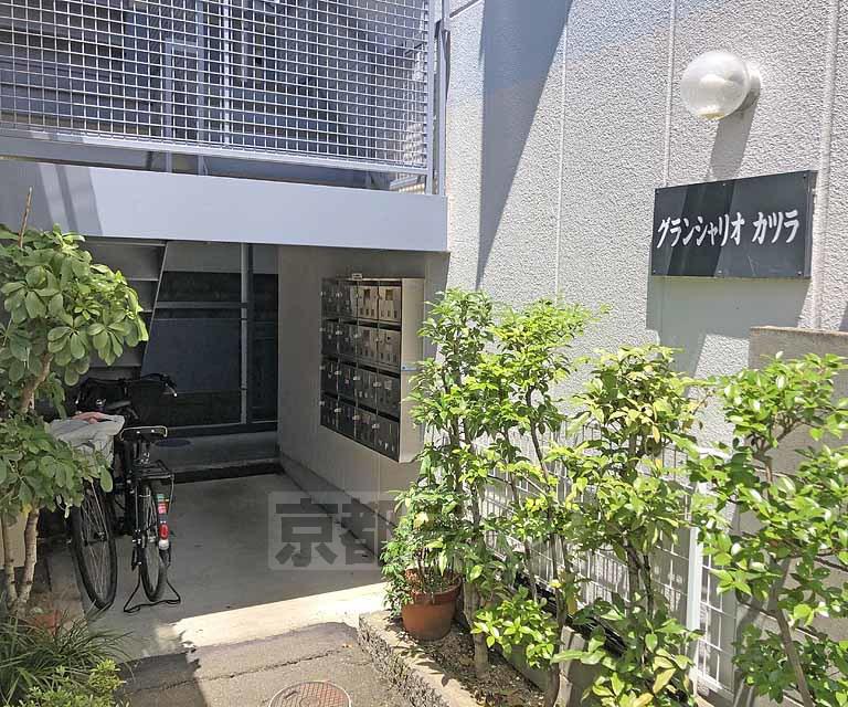 グランシャリオカツラ