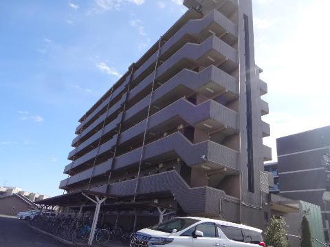 ロイヤル 江戸橋(1DK/1階)