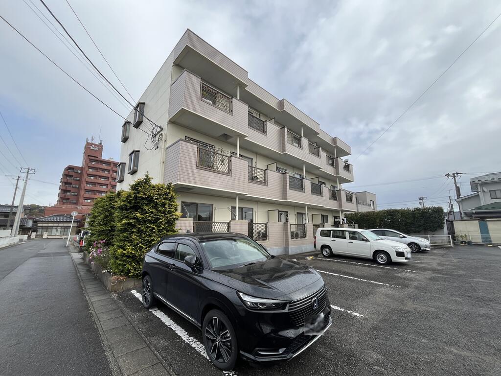 アミーまつい