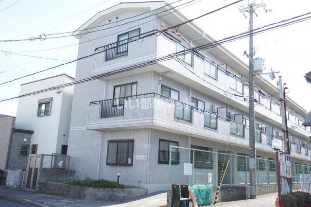 シャトレー寿