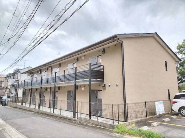 レオネスクトMATSUO