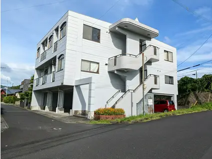 グレンヒルズハイツ(1K/3階)の外観写真