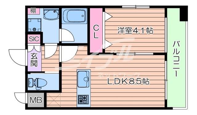 プレジオ城北(1LDK/6階)の間取り写真