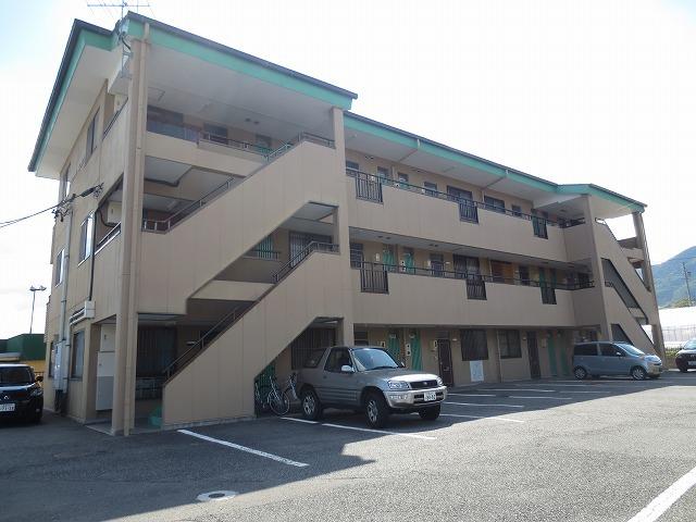 ソフィアケートヨコカワ
