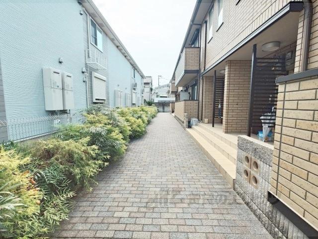 プリムローズ