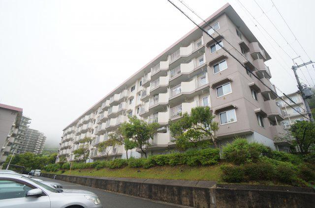 中山五月台