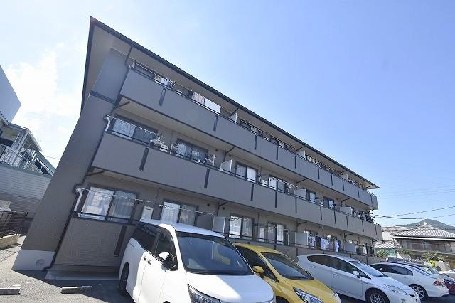 ハイカムール山田