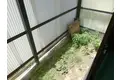 高野アパート