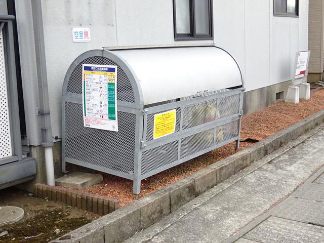 エバーグリーン B
