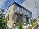 スターチス
