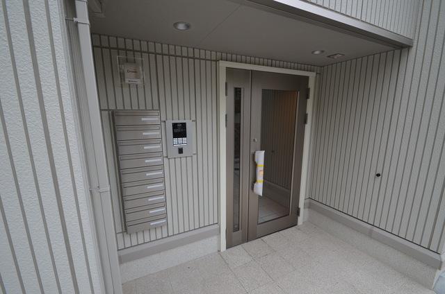 SHINKOBE COLN