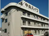 中央ハイツ