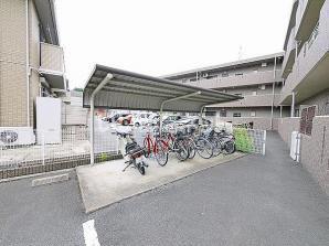 フルーエントIV