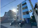 タートル楓