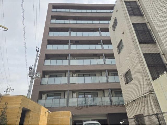 ルピナスⅠ