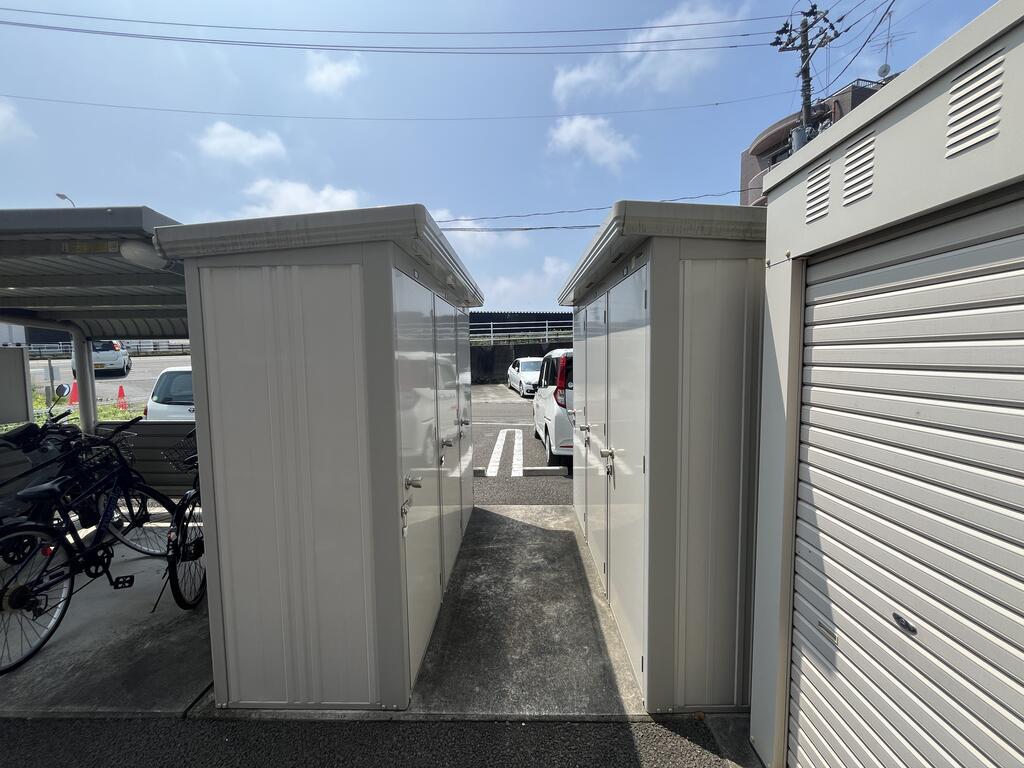 ドラゴン フラワー
