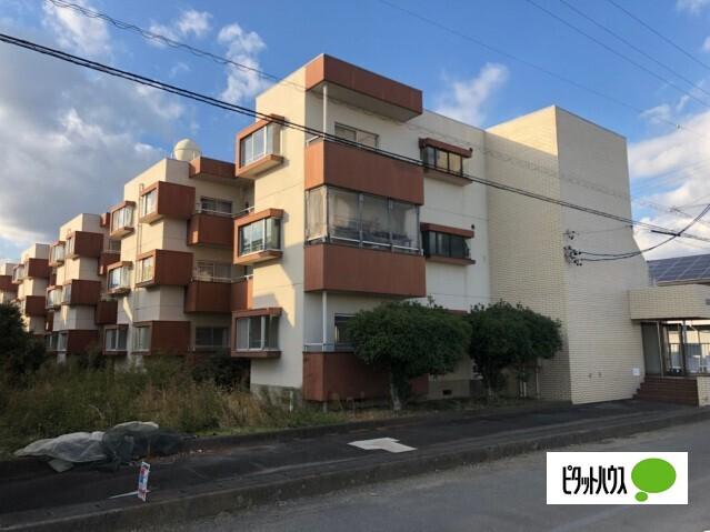 大富ハイホーム