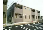 カームパインツリー21 B