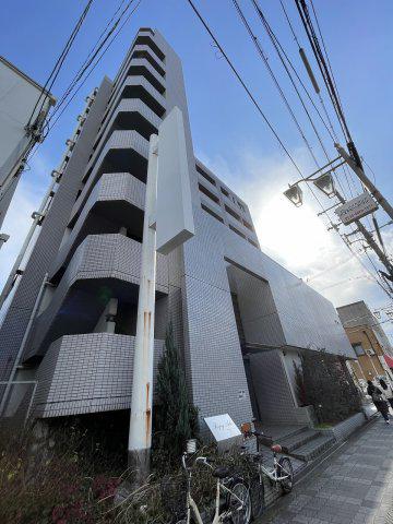 EIGHT SHIROKITAII